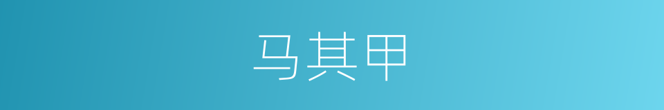 马其甲的同义词