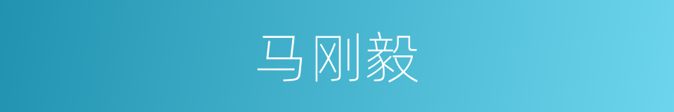 马刚毅的同义词