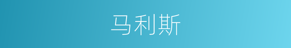 马利斯的同义词