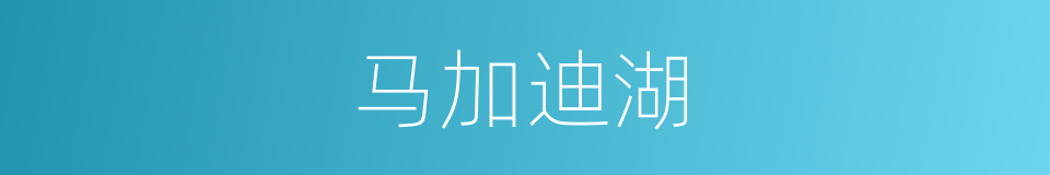 马加迪湖的同义词