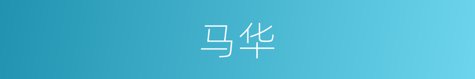 马华的同义词