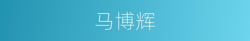 马博辉的同义词