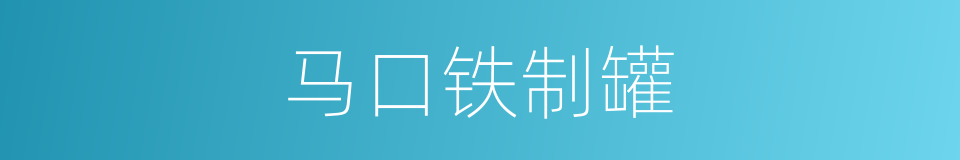 马口铁制罐的同义词