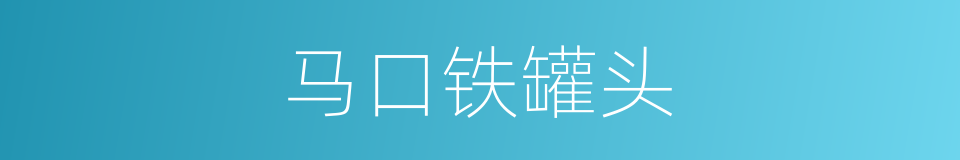 马口铁罐头的同义词