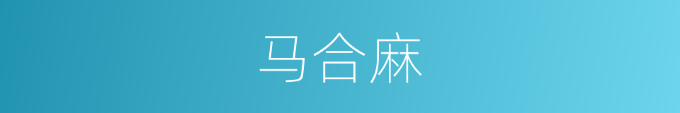 马合麻的同义词