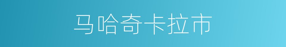 马哈奇卡拉市的同义词