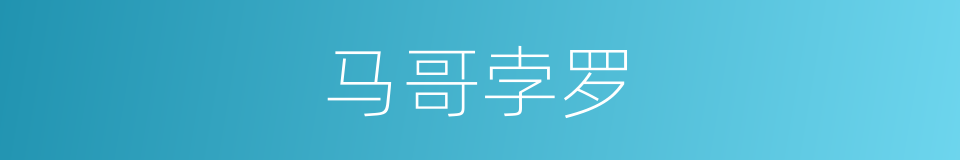 马哥孛罗的同义词