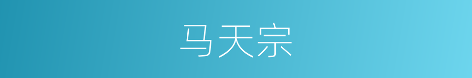 马天宗的同义词