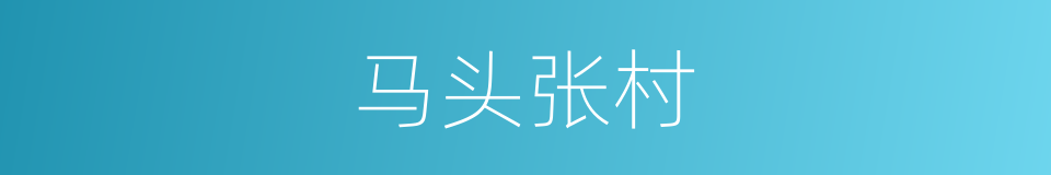 马头张村的同义词