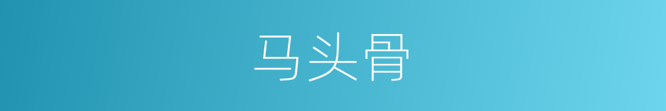 马头骨的同义词