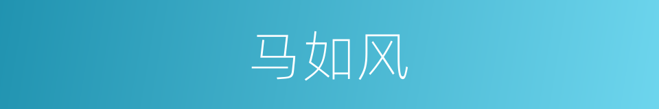 马如风的同义词