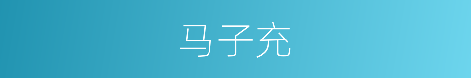 马子充的同义词