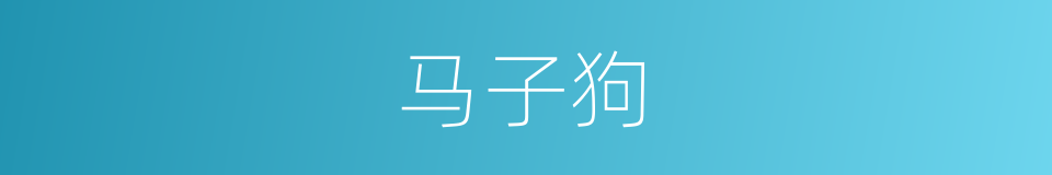 马子狗的同义词