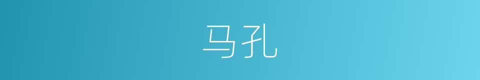 马孔的同义词