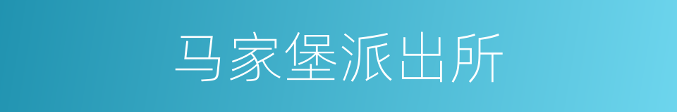 马家堡派出所的同义词