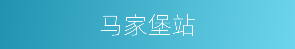 马家堡站的同义词