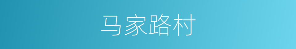 马家路村的同义词