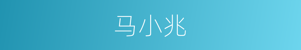 马小兆的同义词
