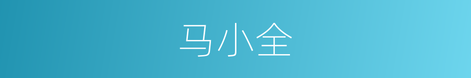 马小全的同义词