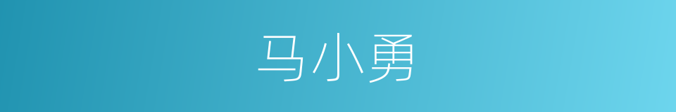 马小勇的同义词