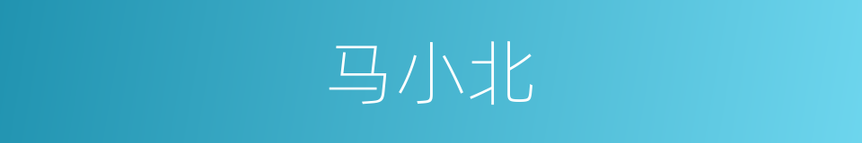 马小北的同义词