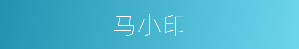 马小印的同义词