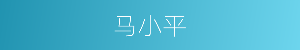 马小平的同义词