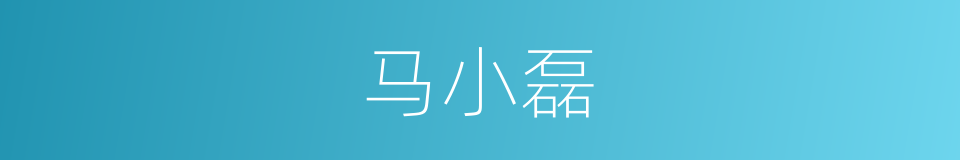 马小磊的同义词