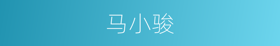 马小骏的同义词