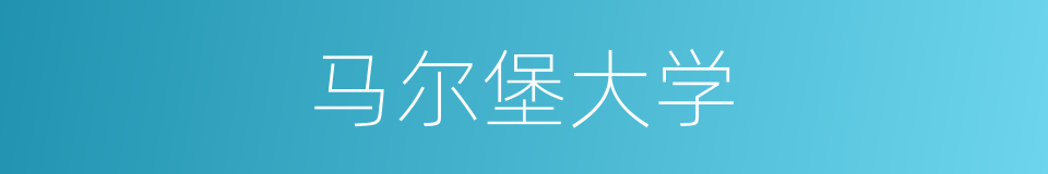马尔堡大学的同义词