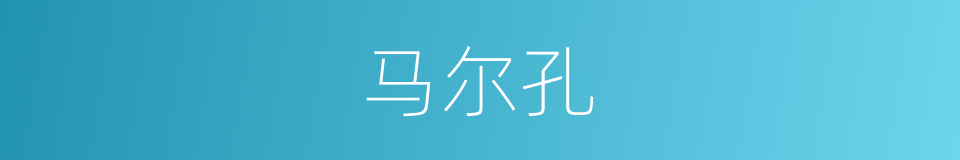 马尔孔的同义词