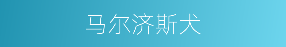 马尔济斯犬的同义词