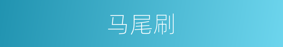 马尾刷的同义词