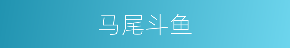 马尾斗鱼的同义词