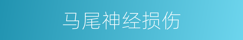 马尾神经损伤的同义词