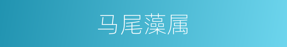马尾藻属的同义词