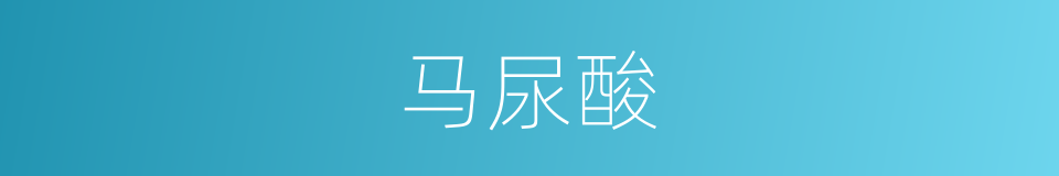 马尿酸的同义词