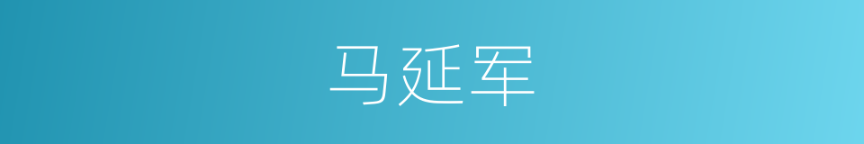 马延军的同义词