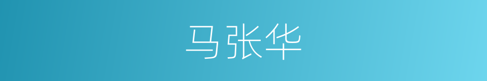 马张华的同义词