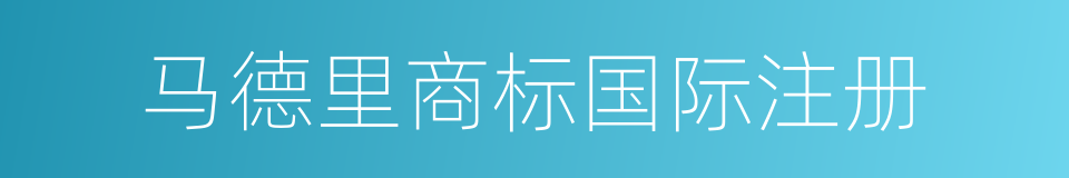 马德里商标国际注册的同义词