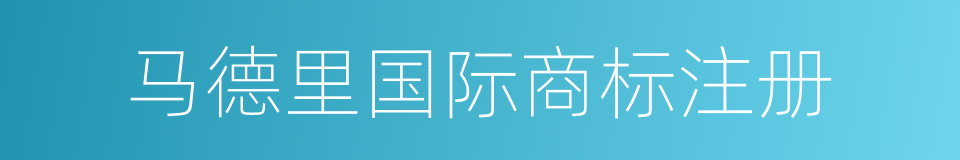 马德里国际商标注册的同义词