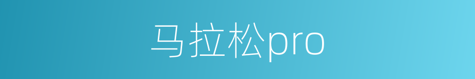马拉松pro的同义词