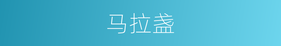 马拉盏的同义词