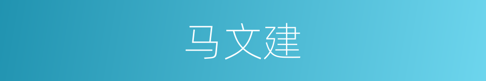 马文建的同义词