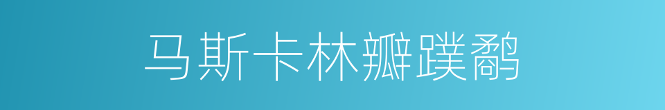 马斯卡林瓣蹼鹬的同义词