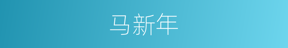 马新年的同义词