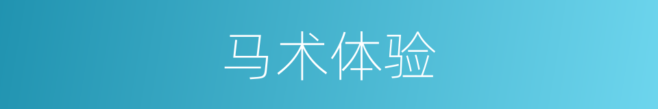马术体验的同义词