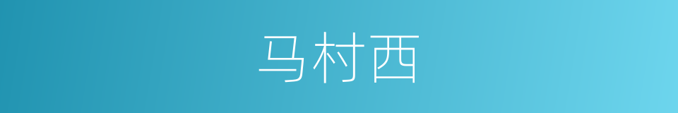 马村西的同义词