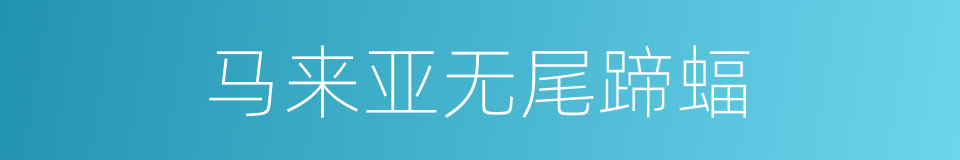 马来亚无尾蹄蝠的同义词
