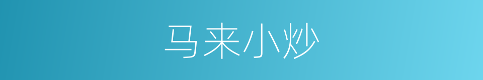 马来小炒的同义词